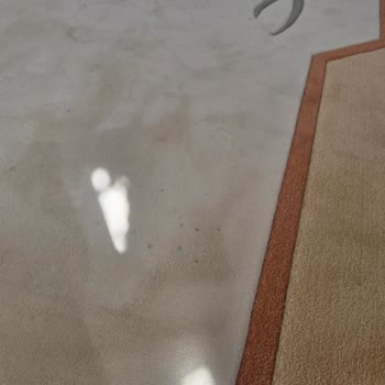 Bissell Proheat 2X Revolution Koltuk Başlığı Arızası Ve Küflü Su Sorunu