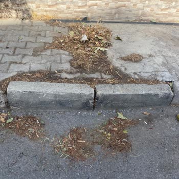 Karabağlar 744 Sokakta Sürekli Çöp Birikimi Ve Yetersiz Temizlik Hizmeti