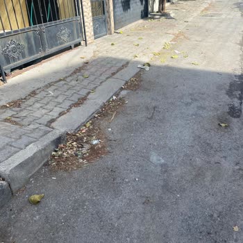 Karabağlar 744 Sokakta Sürekli Çöp Birikimi Ve Yetersiz Temizlik Hizmeti