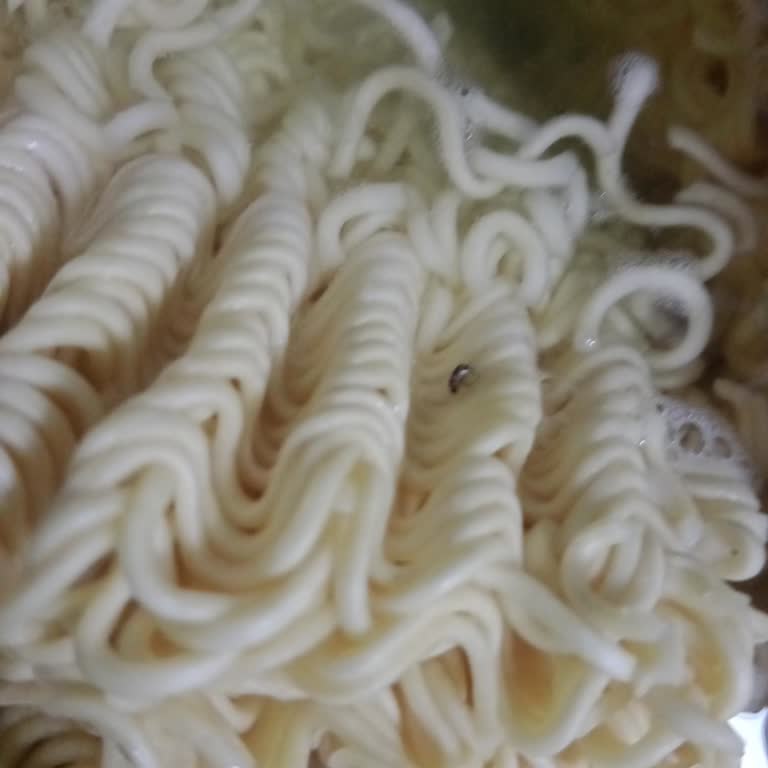 İndomie Noodle Paketi İçinde Sinek Görülmesi