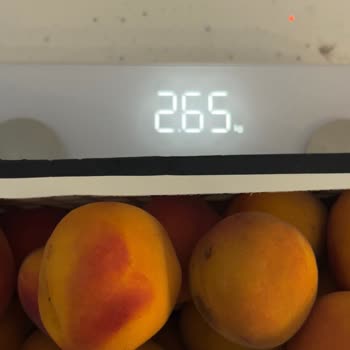 Metro Market Şubesinde Ağırlık Hatası Ve Çürük Kayısı Şikayeti