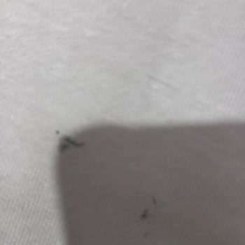 Moda Sahre Sayfasının Yanıltıcı Defolu Ürün Ve Kaba Müşteri Hizmetine İade Talebi
