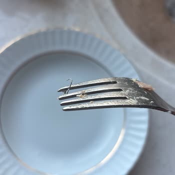 Ton Balığı Ürününde Metal Parça Çıktı: Sağlık Riski