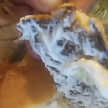Kumluca Burger King Şubesinde Yanmış Ve Dağılmış Hamburger Ekmekleri