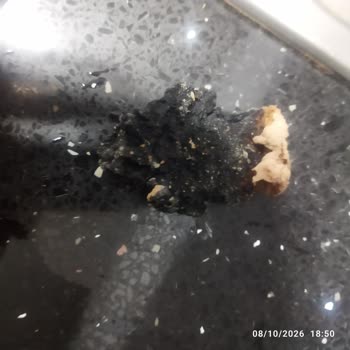 Namet Dana Dönerinde Kömür Benzeri Yabancı Parça Bulundu
