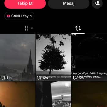 TikTok Hesabımda Yetkisiz İşlemler Nedeniyle Bakiye Çalınması Ve İade Reddi