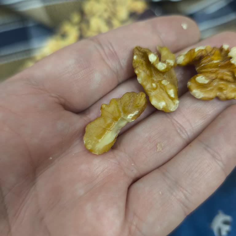 Geçmemiş Tüketim Tarihli Çerezya Ceviz İçindeki Sararma Ve Bayatlık