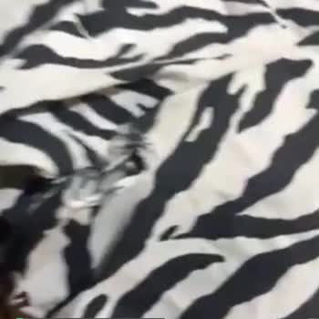 Mudo Collection Ürünün Kısa Zamanda Deforme Olması