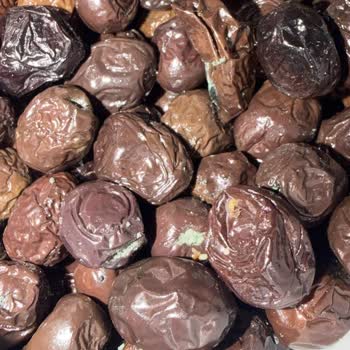 Cem Zeytin Siyah Zeytininde Küf Sorunu Ve Değişim Talebi