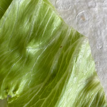 Anpa Gross Kartal Şubesinde Satılan Böcekli Marulda Sağlık Riski