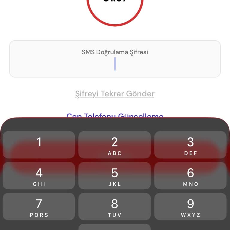Almanya’da Yaşayan Kullanıcılar İçin Passolig SMS Doğrulama Sorunu