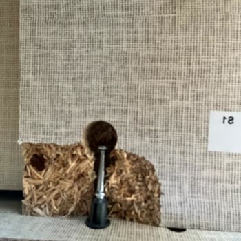 Alfemo Bazasının Hızlı Kırılması Ve 20 Gün Parça Bekleme Süreci