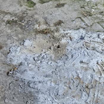 Superonline Dış Cephede Yaptığı Altyapı Çalışması Sonrası Zarar Görmüş Duvar Ve Mermer Tamir Talebi
