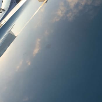 Kuş Dökülmesi Nedeniyle Kaput Ve Tavan Boya Hasarı, Hızlı Araç Değişimi Talebi