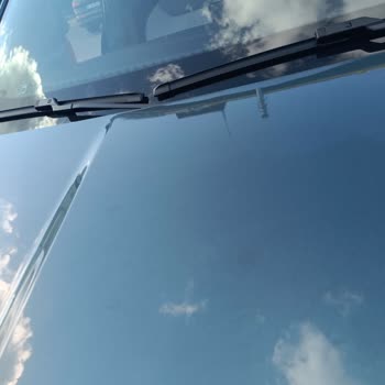Kuş Dökülmesi Nedeniyle Kaput Ve Tavan Boya Hasarı, Hızlı Araç Değişimi Talebi