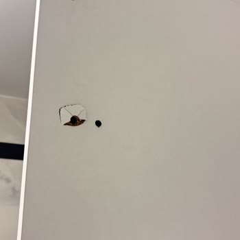 Koçtaş'tan Alınan Dolabın İadesinde Kargo Karışıklığı Ve Süre Aşımı Endişesi