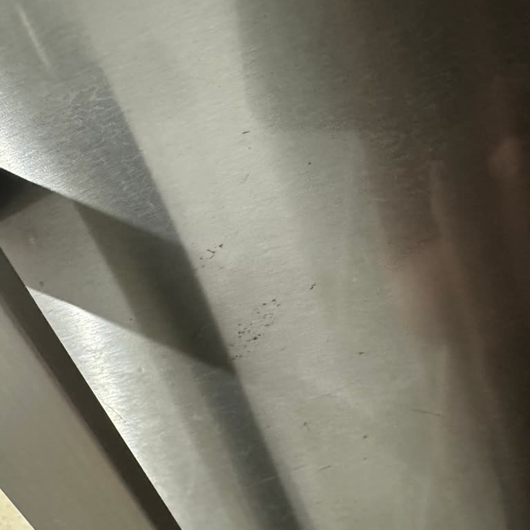 Bosch Buzdolabında Kısa Sürede Pas Lekeleri Ücretsiz Kapak Değişimi Talebi