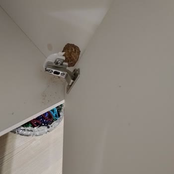 Bellona'da Kumaş Garanti İhlali Ve Konsol Tasarım Hatası