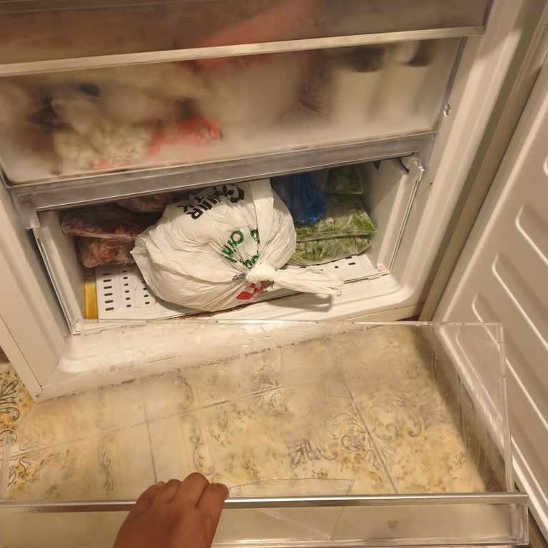 Beko Buzdolabında Dondurucu Kapak Kırılması Ve Yedek Parça Talebi