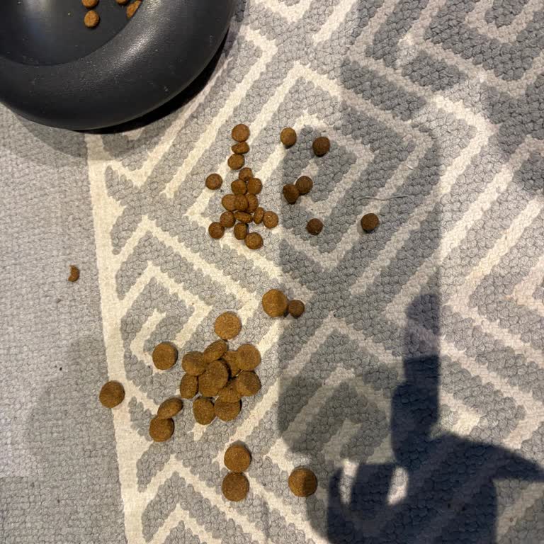 Hepsiburada’da Yanlış Köpek Maması Gönderildi, İade Talebi Reddedildi