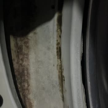 Vestel Çamaşır Makinesinin Lastik Küflenmesi Garanti Kapsamına Alınmalı
