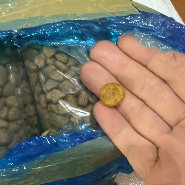 Açıkta Gelen Yanıltıcı Köpek Maması Ve Geri Ödeme İsteği