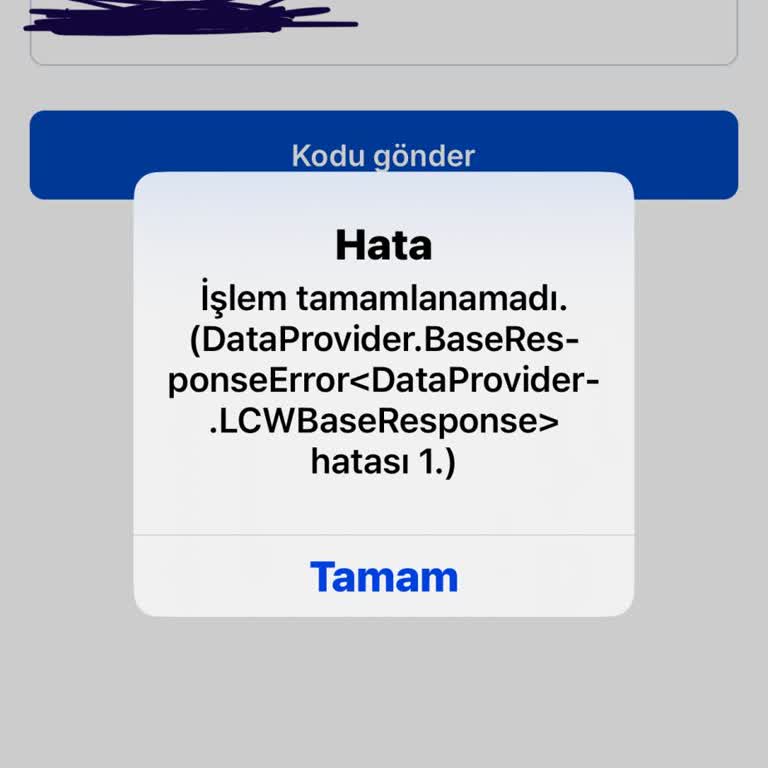 Şifre Yenileme Hatası Hesaba Erişim Engelliyor