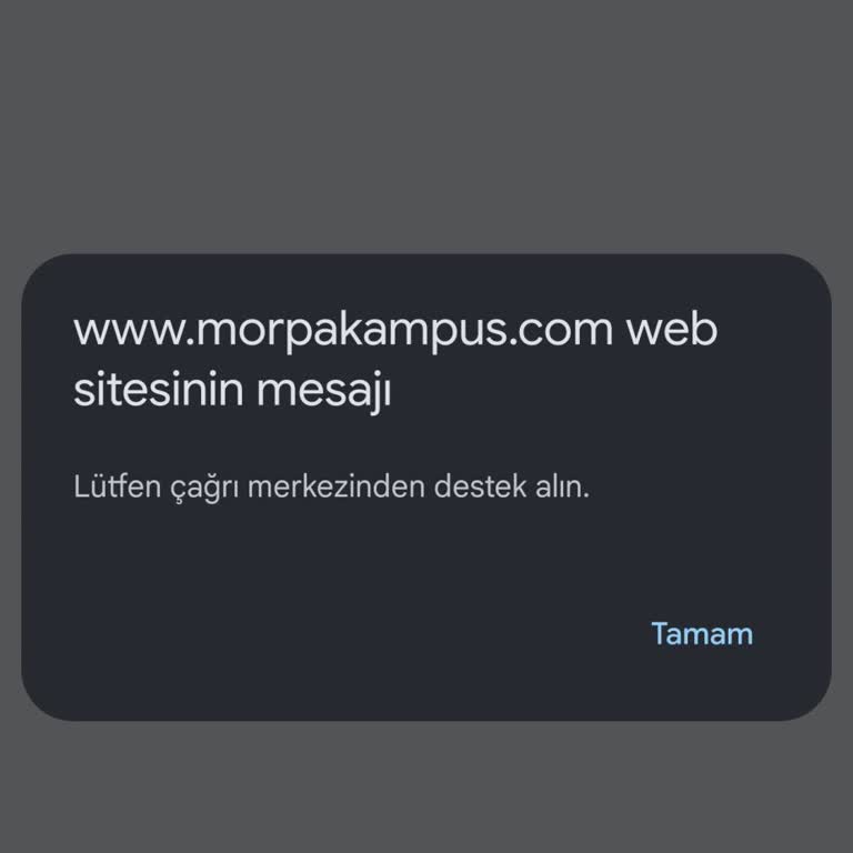 Morpakampüs Öğrenci Şifre Yenileme Ve Erişim Sorunu