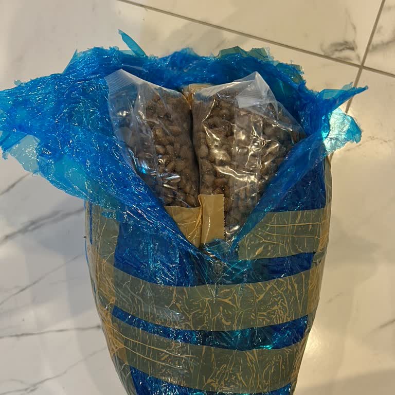 Orijinal Olmayan Royal Canin Kedi Maması İçin İade Ve Geri Ödeme Talebi