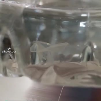 Ceysu Suyun İçinde Yabancı Cisim Var