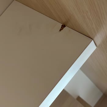 Newjoy Şubesinde Montaj Sırasında Ürüne Gizlenen Hasar Ve 45 Gün Bekleme