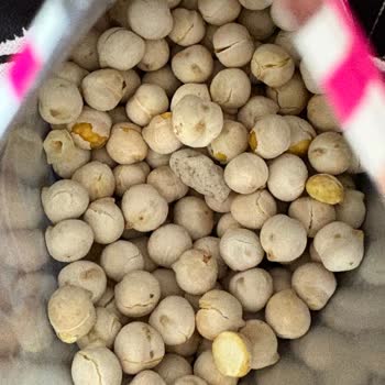 Leblebide Taş Bulunması Sağlık Riski Ve Kalite Kontrol İhlali