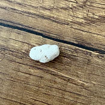 Leblebide Taş Bulunması Sağlık Riski Ve Kalite Kontrol İhlali