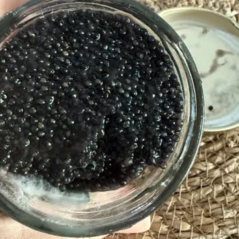 Dardanel Gurme Lezzetler Küflü Havyar Ürünü İçin Gıda Güvenliği Şikayeti Ve İade Talebi