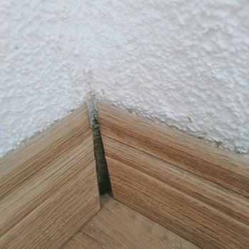 Hdi Sigorta’da Tekrarlanan Hasar Reddi Ve Müşteri Mağduriyeti