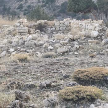 Perta Emlak (Tekirdağ) Yanıltıcı Satış ve İade Talebi