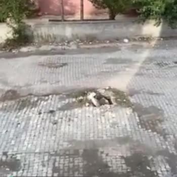 Kars Belediyesi Yolda Bulunan Kapağı Açık Çukur