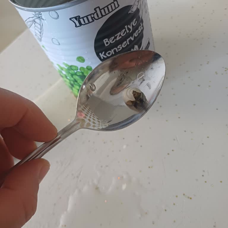 Yurdum Bezelye Konservesinden Salyangoz Çıktı