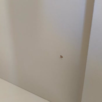 Çetmen Mağazasında Kısa Sürede Mobilya Kalite Sorunları Ve Çözümsüz İlgisizlik