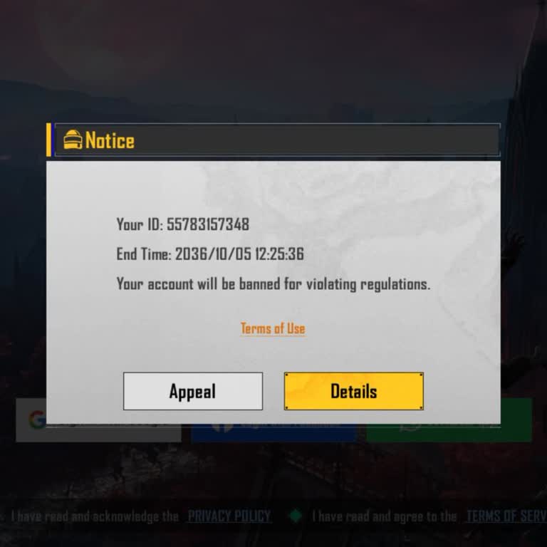 BGMI Account Ban Appeal