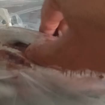 Migros'ta Bozulmuş Palamut Balığı Satışı Ve İade Talebi