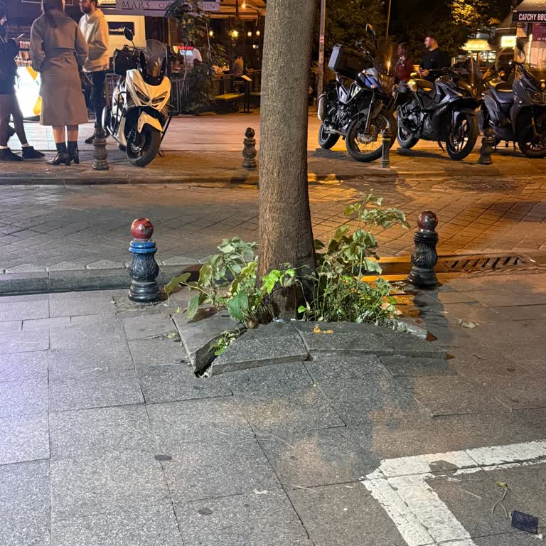 Moda Caddesi 49 Numaralı Yaya Yolundaki Kırık Taşlar Çocuk Ve Yaşlıları Tehlikeye Atıyor