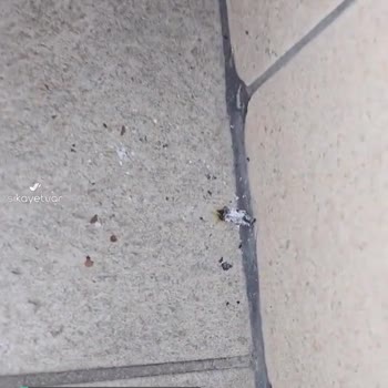 Koru Hastanesi Çukurambar Sigara İçilmiş Ameliyat Odaları