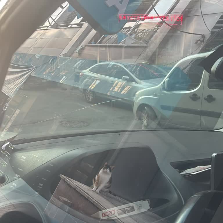 Direksiyon Kutusu Gürültüsü Çözülmedi, Tekrarlanan Servis Ziyaretleri Ve 19.000 TL Ek Ücret