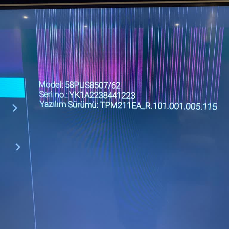Garanti Sonrası Panel Sorunu İçin Philips Televizyon Ücretsiz Onarım Talebi