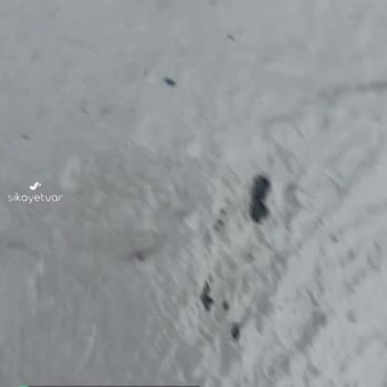 Yeykim Quattro Yapı Kimyasalları Hüsranı!