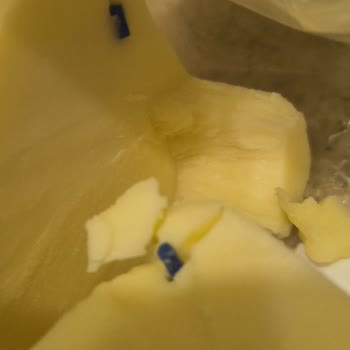 Göçmen BİM Kaanbey Tam Yağlı Kaşarından Mavi Plastik Parça Çıktı