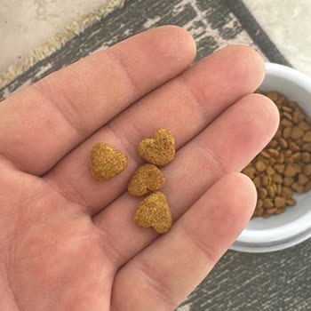 Trendyol'da Cango 15 Kg Kedi Maması Renk Değişikliği Ve Kedide Sağlık Sorunu