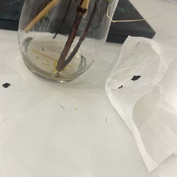 Çiçek Sepeti Siparişinde Solmuş Ve Dağınık Çiçek Teslimatı