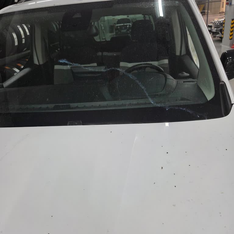 Citroen Yetkili Servisinde Ön Cam Değişimi Ve İkame Araç Talebi Cevapsız Kaldı
